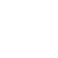 Arrow White Up